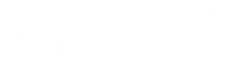 Bombino Express Services Ltd. logo, light version